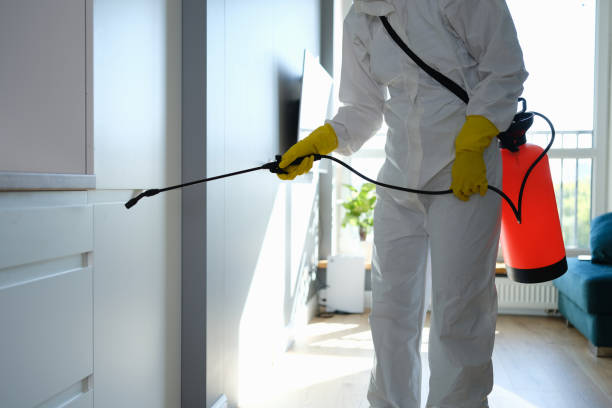 Evergreen, CO Mold Removal Company